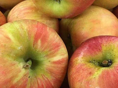 Apples -Honey Crisp bag of 3 on Sale