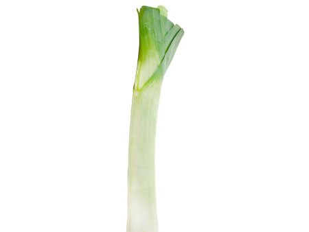 American Leeks 1 bunch Online now