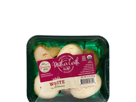 Organic White Mushrooms 8oz Fashion