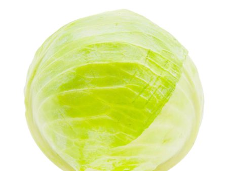 Green Cabbage 2.5lb Online Sale