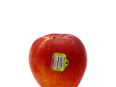 Organic Gala Apple 1 Each Online Sale