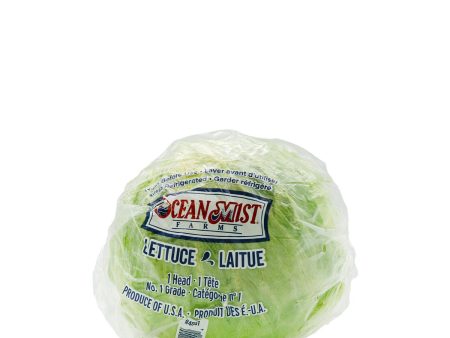 Ocean Mist Iceberg Lettuce Supply