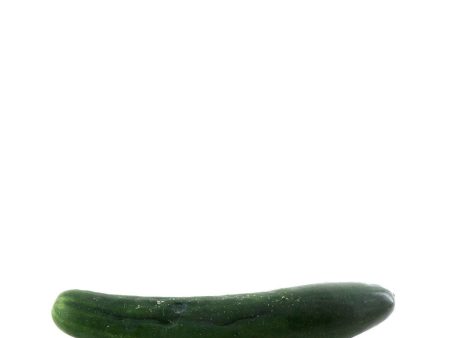 Cucumber 1 Each For Discount