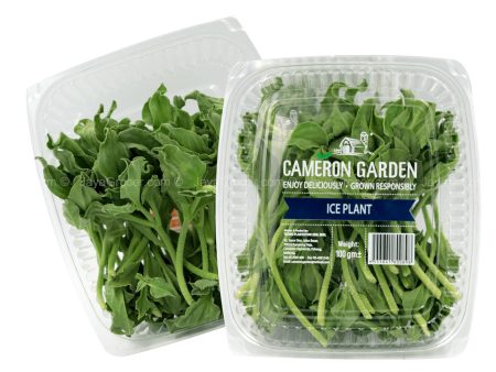 Cameron Garden Ice Plant Salad (Malaysia) (Malaysia) 100g Cheap