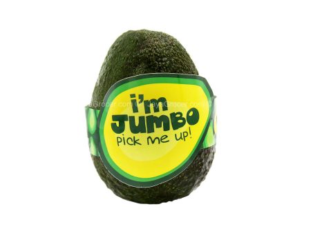 Avocado Shepard Jumbo (Australia) 1pack Online Sale