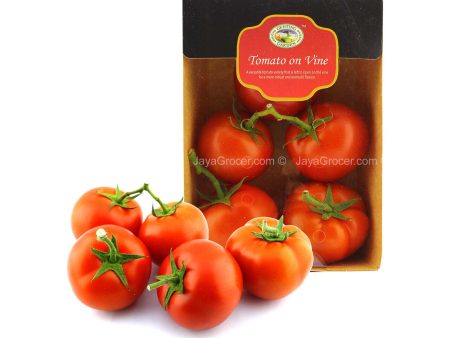 Genting Garden Tomato On Vine (Malaysia) 550g For Sale