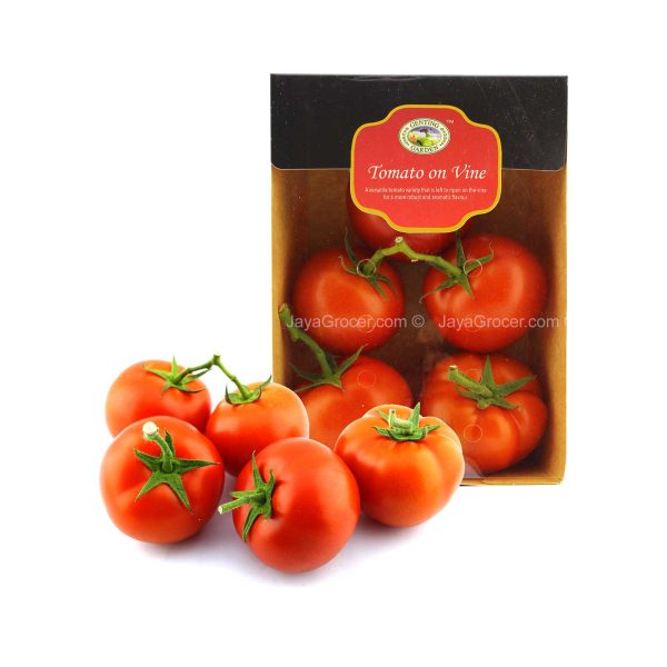 Genting Garden Tomato On Vine (Malaysia) 550g For Sale