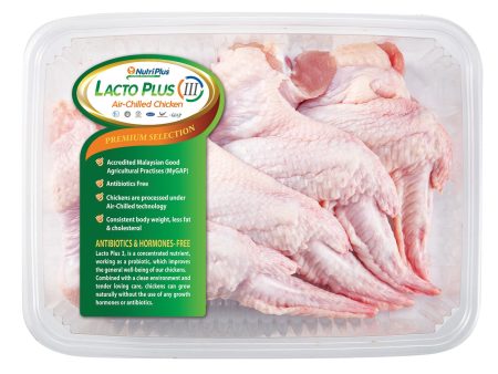 Lacto Plus III Wings 400g+ - For Discount