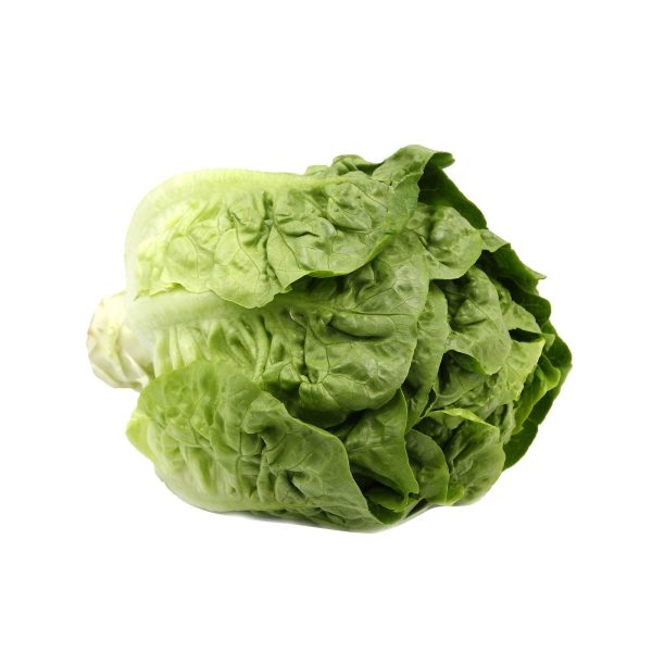 Baby Romaine Lettuce (Malaysia) 1pack Cheap