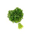 Cameron Garden Garden Parsley (Malaysia) 100g For Sale