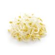 Favric Trading Bean Sprout (Taugeh Besar) (Malaysia) 500g Cheap