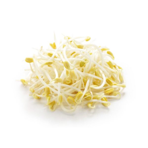 Favric Trading Bean Sprout (Taugeh Besar) (Malaysia) 500g Cheap