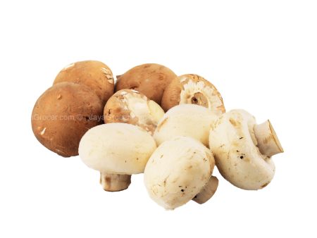 Tuscan 2 in 1 Mushroom (Malaysia) 250g Online now