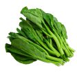 Summer Harvest Chinese Broccoli (Kailan) (Malaysia) 250g Hot on Sale