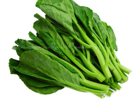 Summer Harvest Chinese Broccoli (Kailan) (Malaysia) 250g Hot on Sale