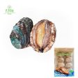 Ys Abalone With Shell 8pcs pack Online