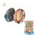 Ys Abalone With Shell 16pcs pack Online now