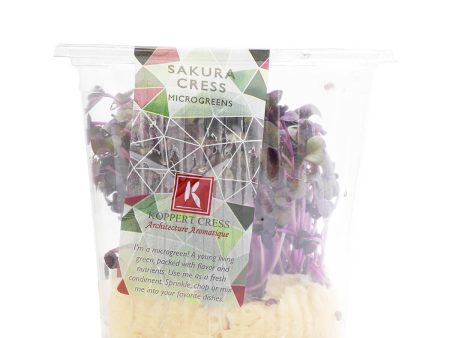 Koppert Cress Sakura Cress Online