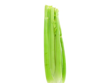 Celery 1 Bunch Cheap