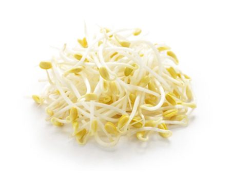 Favric Trading Bean Sprout (Taugeh) (Malaysia) 500g Online Sale