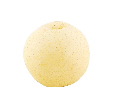 Sand Pears 1.5lb Online Sale