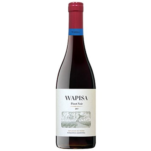 Wapisa Pinot Noir 2021 - 750ML Cheap